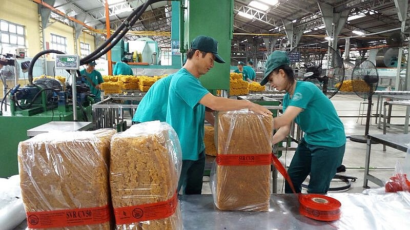Ngày 4/10: Giá cao su trong nước ổn định, thế giới diễn biến trái chiều