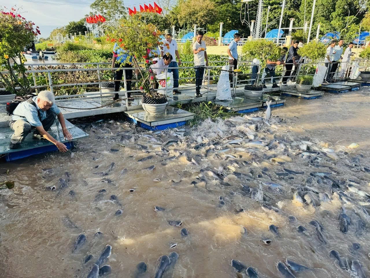 Nông nghiệp sinh thái là tầm nhìn dài hạn để Việt Nam thực hiện các cam kết toàn cầu về biến đổi khí hậu