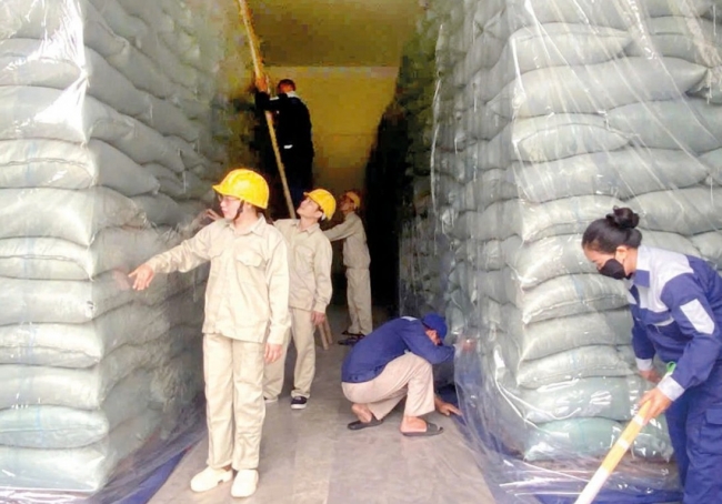 Chi cục Dự trữ Nhà nước khu vực I khẩn trương nhập thóc dự trữ năm 2025