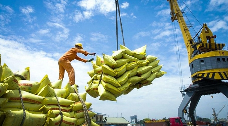 Ngày 9/10: Giá gạo trong nước bình ổn, gạo xuất khẩu các loại đứng giá Ngày 9/10: Giá gạo trong nước bình ổn, gạo xuất khẩu các loại đứng giá