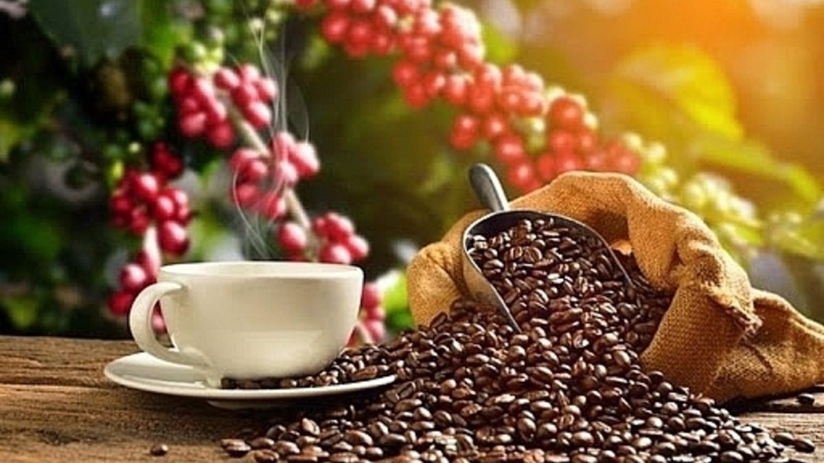 Ngày 9/10: Giá cà phê tiếp đà giảm mạnh, hồ tiêu tăng