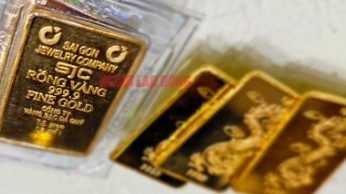 Giá vàng hôm nay (10/10): Lao dốc không phanh