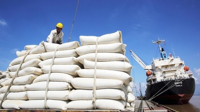 Ngày 12/10: Giá lúa gạo trong nước ổn định, gạo xuất khẩu giảm mạnh