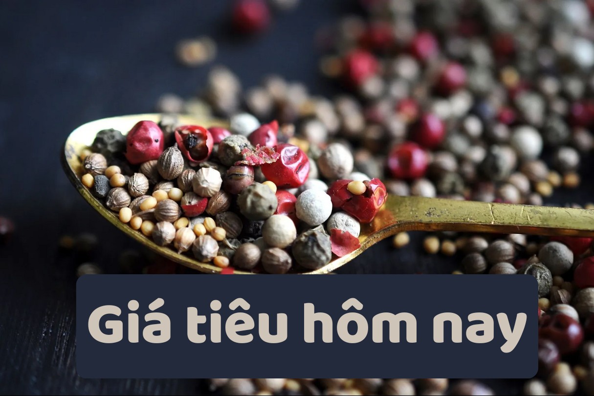 Ngày 12/10: Giá tiêu tiến sát đỉnh 150.000 đồng/kg, cà phê tiếp đà giảm