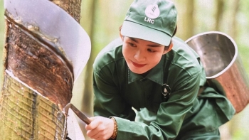 Ngày 12/10: Giá cao su thế giới khởi sắc do lo ngại nguồn cung thắt chặt