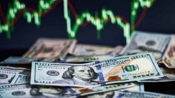 Tỷ giá USD hôm nay (12/10): Thị trường tự do giảm mạnh ở cả hai chiều mua vào và bán ra