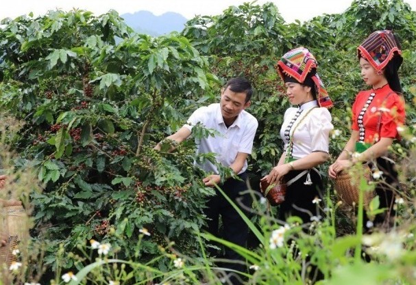 Sơn La: Triển khai hiệu quả Chương trình mục tiêu quốc gia giảm nghèo bền vững