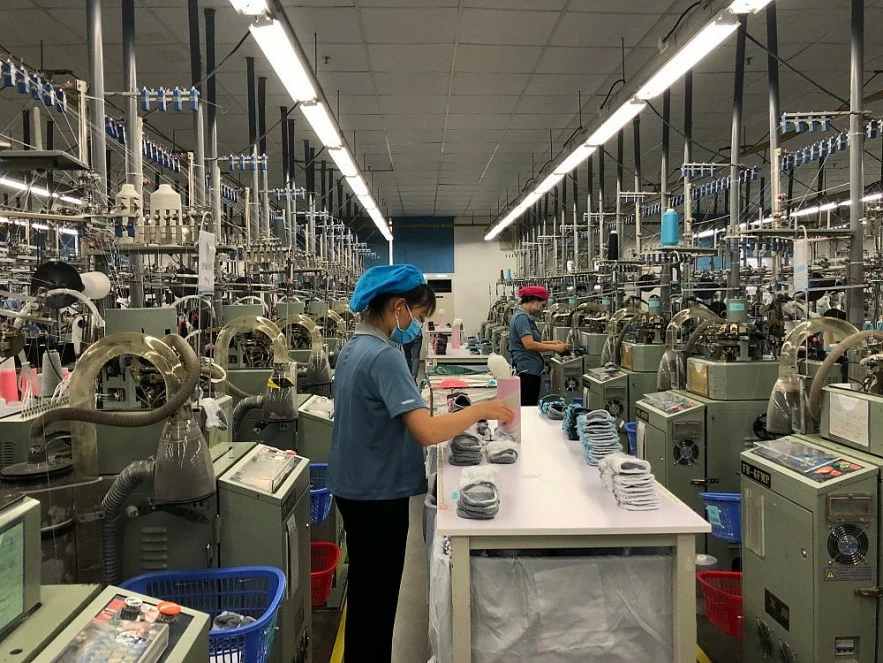 Thuế TP. Hải Phòng thu nội địa 9 tháng vượt dự toán Thuế TP. Hải Phòng thu nội địa 9 tháng vượt dự toán