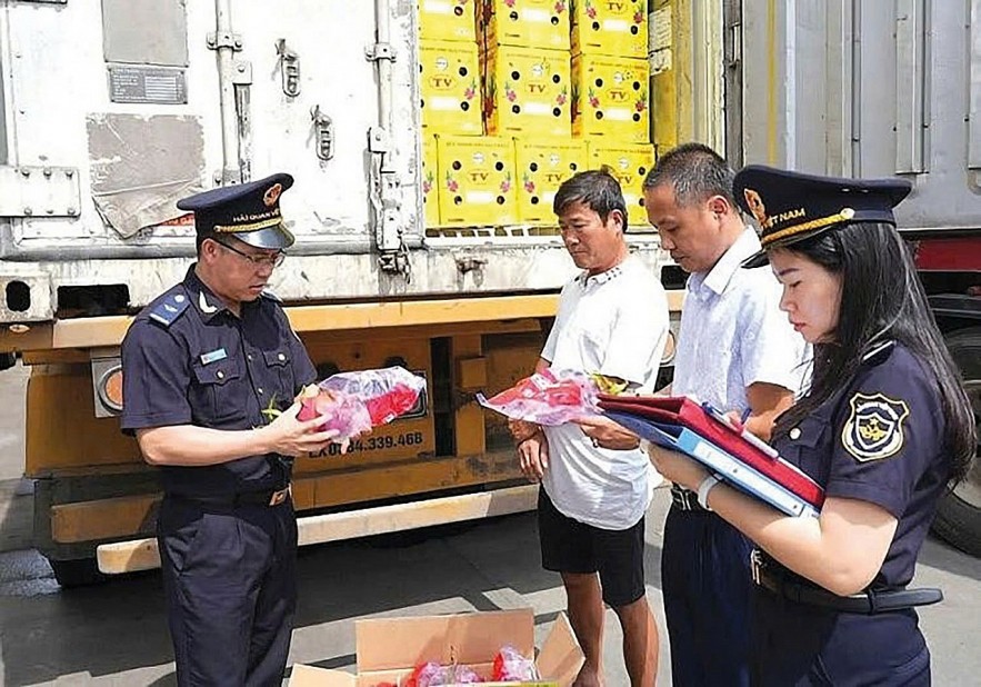 Hải quan tăng tốc hoàn thiện thể chế pháp luật, tạo thuận lợi cho doanh nghiệp