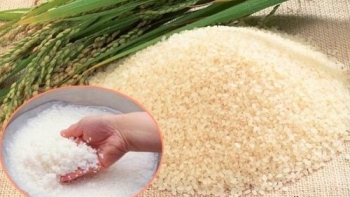 Ngày 18/10: Giá lúa ổn định, gạo nguyên liệu neo cao
