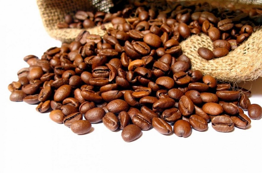 Ngày 19/10: Giá cà phê trong nước đồng loạt giảm