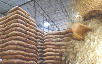 Nguồn cung dư thừa, gạo Việt chịu sức ép cạnh tranh