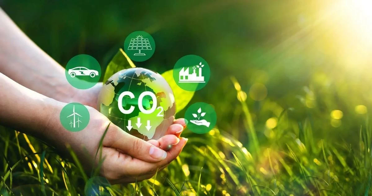 Việt Nam chưa có dự án tạo tín chỉ carbon từ trồng rừng