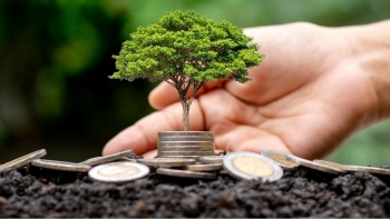 Nhiều doanh nghiệp dự kiến chi trả cổ tức bằng tiền mặt ở mức cao