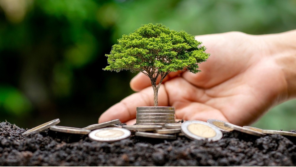 Nhiều doanh nghiệp dự kiến chi trả cổ tức bằng tiền mặt ở mức cao