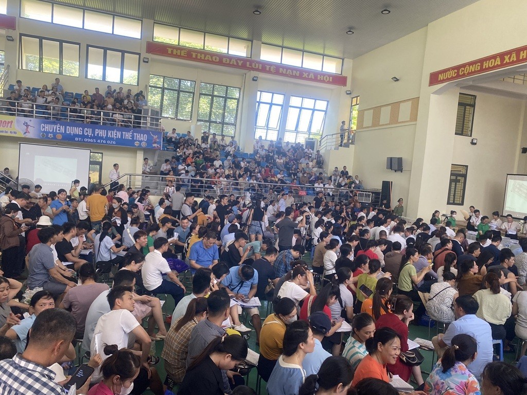 “Bỏ cọc đấu giá đất” bị cấm tham gia 5 năm và bồi thường toàn bộ thiệt hại?