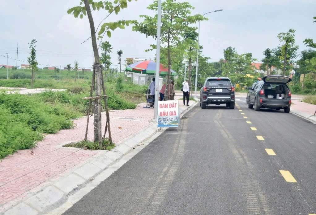 “Bỏ cọc đấu giá đất” bị cấm tham gia 5 năm và bồi thường toàn bộ thiệt hại? “Bỏ cọc đấu giá đất” bị cấm tham gia 5 năm và bồi thường toàn bộ thiệt hại?
