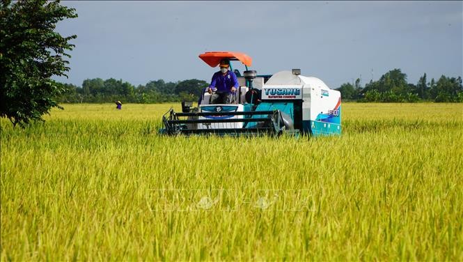 Hướng tới mục tiêu "nông nghiệp xanh, phát thải thấp"