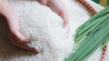 Ngày 23/10: Giá một số loại gạo xuất khẩu giảm, gạo trong nước ổn định