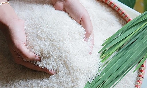 Ngày 23/10: Giá một số loại gạo xuất khẩu giảm, gạo trong nước ổn định