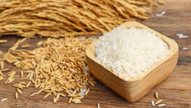 Ngày 26/10: Giá lúa gạo tại Đồng bằng sông Cửu Long trầm lắng