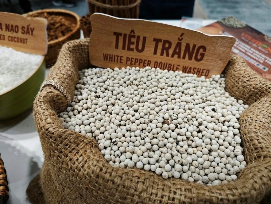 Ngày 28/10: Giá tiêu và cà phê đồng loạt tăng Ngày 28/10: Giá cà phê và hồ tiêu đồng loạt tăng