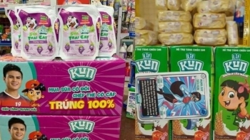 Công ty Sữa Quốc tế LOF (IDP) ghi nhận khoản lỗ 62,7 tỷ đồng sau 9 tháng