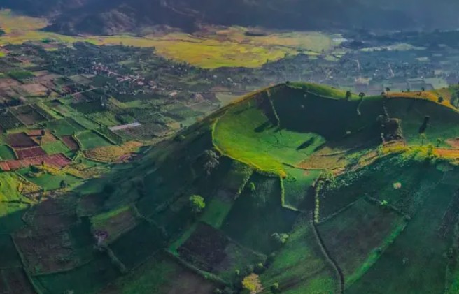 Hoàng Anh Gia Lai lên kế hoạch niêm yết công ty con, mở rộng đầu tư nông nghiệp quy mô lớn