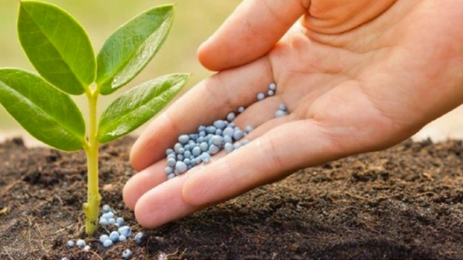 Sửa Luật Thuế giá trị gia tăng: Tháo gỡ ngay điểm nghẽn, tạo động lực phát triển sản xuất, kinh doanh