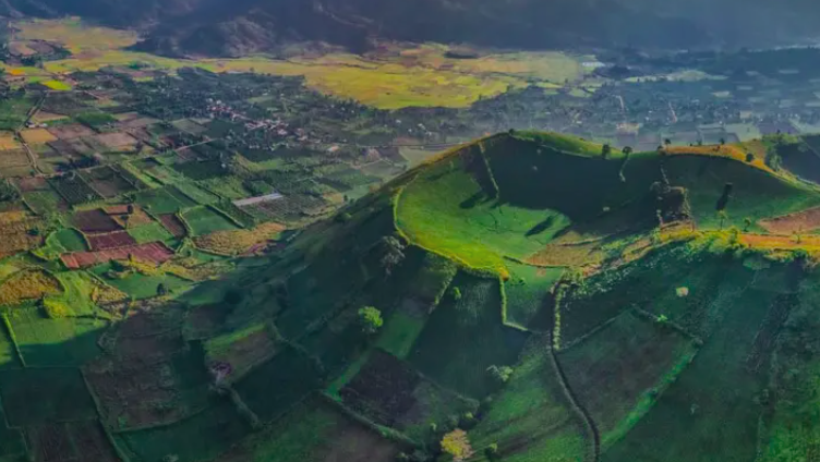 Hoàng Anh Gia Lai lên kế hoạch niêm yết công ty con, mở rộng đầu tư nông nghiệp quy mô lớn Hoàng Anh Gia Lai lên kế hoạch niêm yết công ty con, mở rộng đầu tư nông nghiệp quy mô lớn