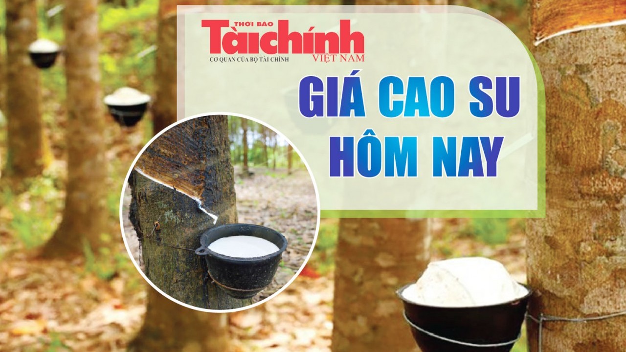 Ngày 30/10: Giá cao su thế giới neo cao, trong nước đứng giá
