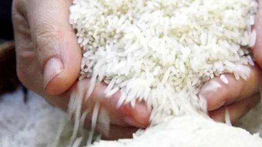 Singapore và Việt Nam đã ký Bản ghi nhớ hợp tác thương mại gạo