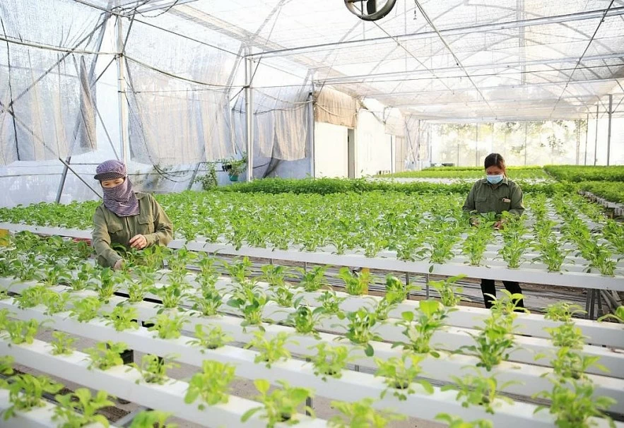 Đầu tư vào thiên nhiên là chìa khóa cho tương lai thịnh vượng Đầu tư vào thiên nhiên là chìa khóa cho tương lai thịnh vượng