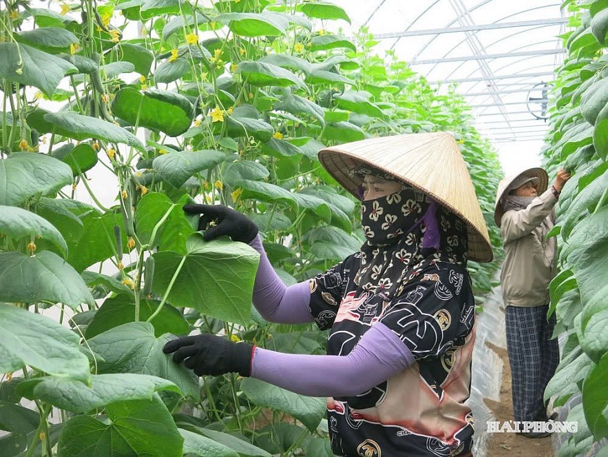 Sửa Luật Thuế giá trị gia tăng: 