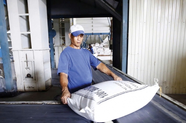 Nền tảng vững chắc cho tăng trưởng xanh và hội nhập quốc tế