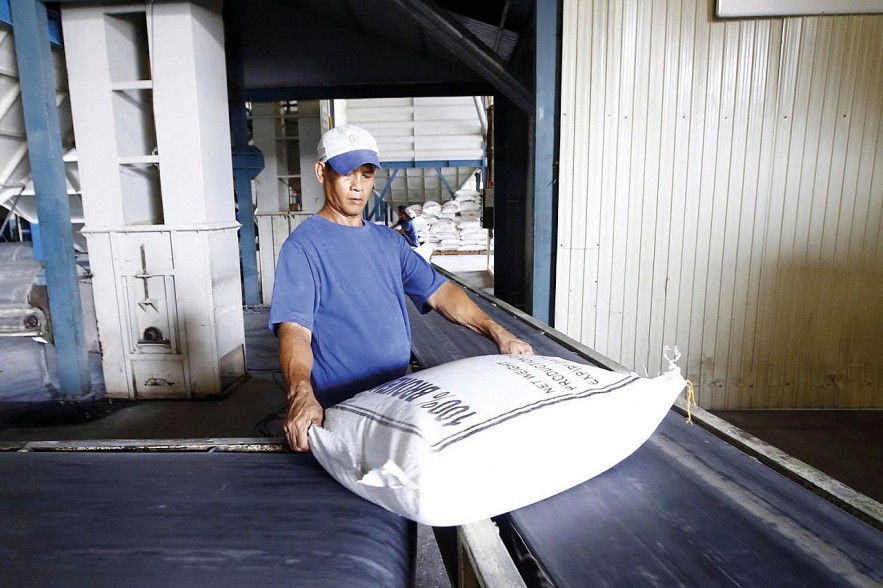 Nền tảng vững chắc cho tăng trưởng xanh và hội nhập quốc tế Nền tảng vững chắc cho tăng trưởng xanh và hội nhập quốc tế