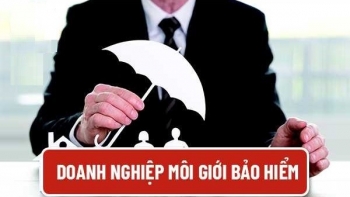 Doanh nghiệp môi giới bảo hiểm áp dụng nguyên tắc kế toán theo thông tư mới từ năm 2026
