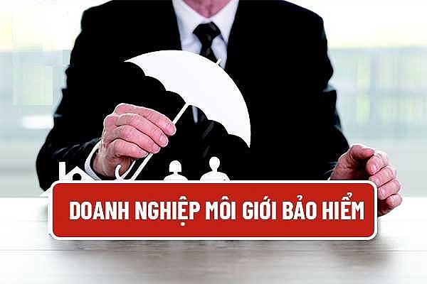 Doanh nghiệp môi giới bảo hiểm áp dụng nguyên tắc kế toán theo thông tư mới từ năm 2026 Doanh nghiệp môi giới bảo hiểm áp dụng nguyên tắc kế toán theo thông tư mới từ năm 2026