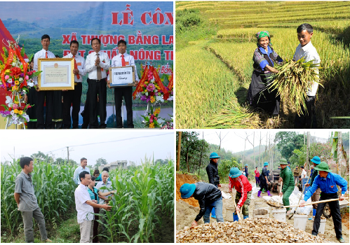 Ngành Nông nghiệp và Môi trường: Phong trào thi đua yêu nước lan tỏa sâu rộng Ngành Nông nghiệp và Môi trường: Phong trào thi đua yêu nước lan tỏa sâu rộng