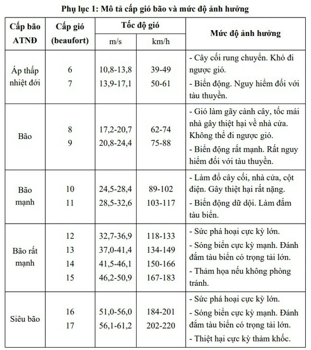 CẬP NHẬT: Tin BÃO KHẨN CẤP - cơn BÃO SỐ 13 (Bão KALMAEGI) và các chỉ đạo ứng phó- Ảnh 4.