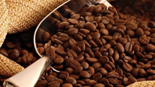 Ngày 7/11: Giá cà phê trong nước phục hồi, hồ tiêu neo cao ở mức 147.000 đồng/kg