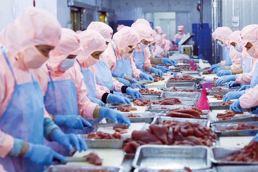 Ngành Nông nghiệp và Môi trường: Vượt khó, tạo đà bứt phá bền vững Ngành Nông nghiệp và Môi trường: Vượt khó, tạo đà bứt phá bền vững