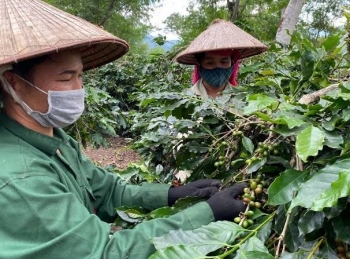 Điện Biên: Thành quả giảm nghèo bền vững nhiệm kỳ 2020 - 2025