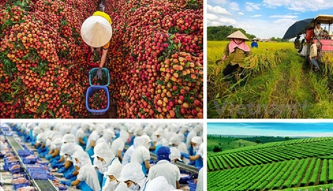 80 năm qua là hành trình vẻ vang và đầy tự hào của ngành Nông nghiệp và Môi trường