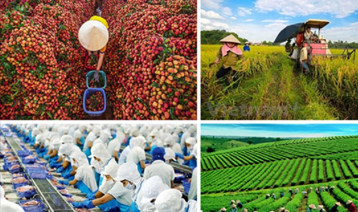 80 năm qua là hành trình vẻ vang và đầy tự hào của ngành Nông nghiệp và Môi trường