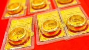Giá vàng hôm nay (13/11): Vàng miếng, vàng nhẫn giảm ngược chiều thế giới