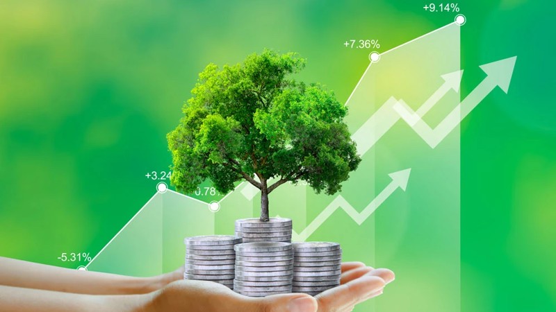 Mở rộng đối tượng hỗ trợ lãi suất 2% cho dự án xanh, danh sách cập nhật 6 tháng/lần