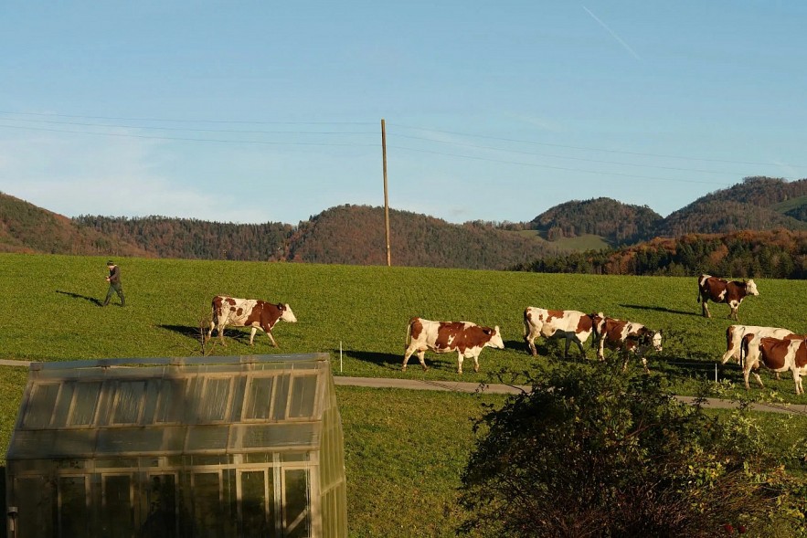 Thụy Sĩ đạt được thỏa thuận với Hoa Kỳ giảm thuế xuống 15% Thụy Sĩ đạt được thỏa thuận với Hoa Kỳ giảm thuế xuống 15%