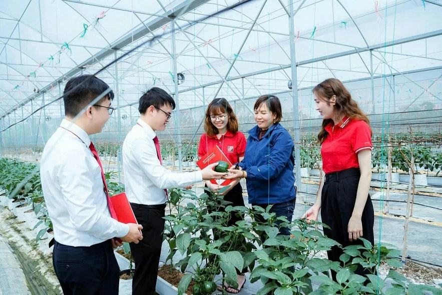 Agribank “xanh hóa” dòng vốn tín dụng hướng tới Net Zero Agribank “xanh hóa” dòng vốn tín dụng hướng tới Net Zero