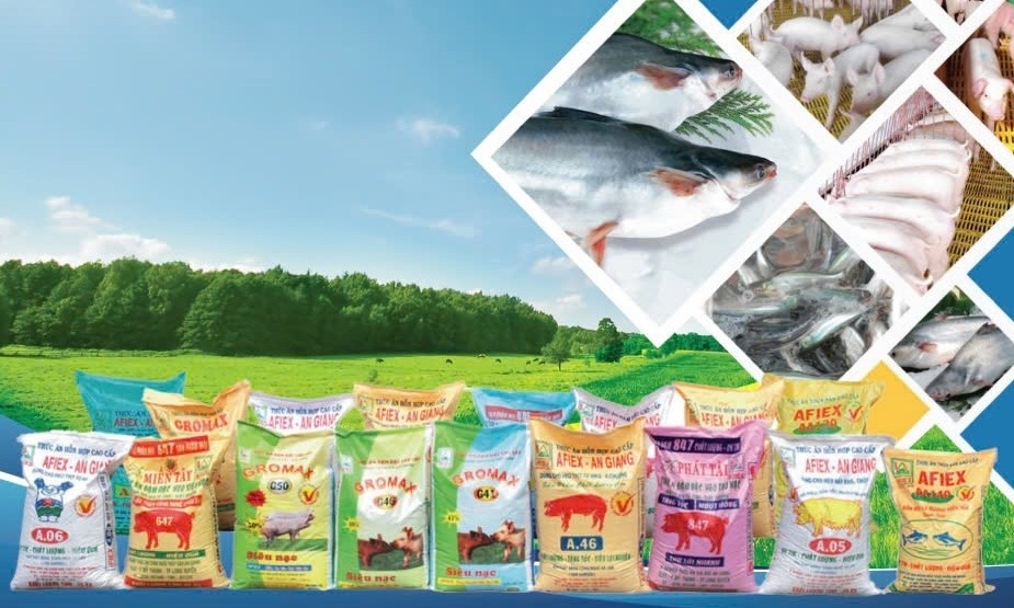 AFIEX chính thức được chấp thuận niêm yết cổ phiếu AFX trên HoSE AFIEX chính thức được chấp thuận niêm yết cổ phiếu AFX trên HoSE